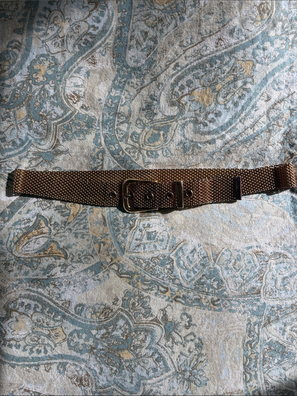 Vintage Shiny Gold Tone Metal Mesh Belt Retro Liquid Gold Statement Cinch Belt
